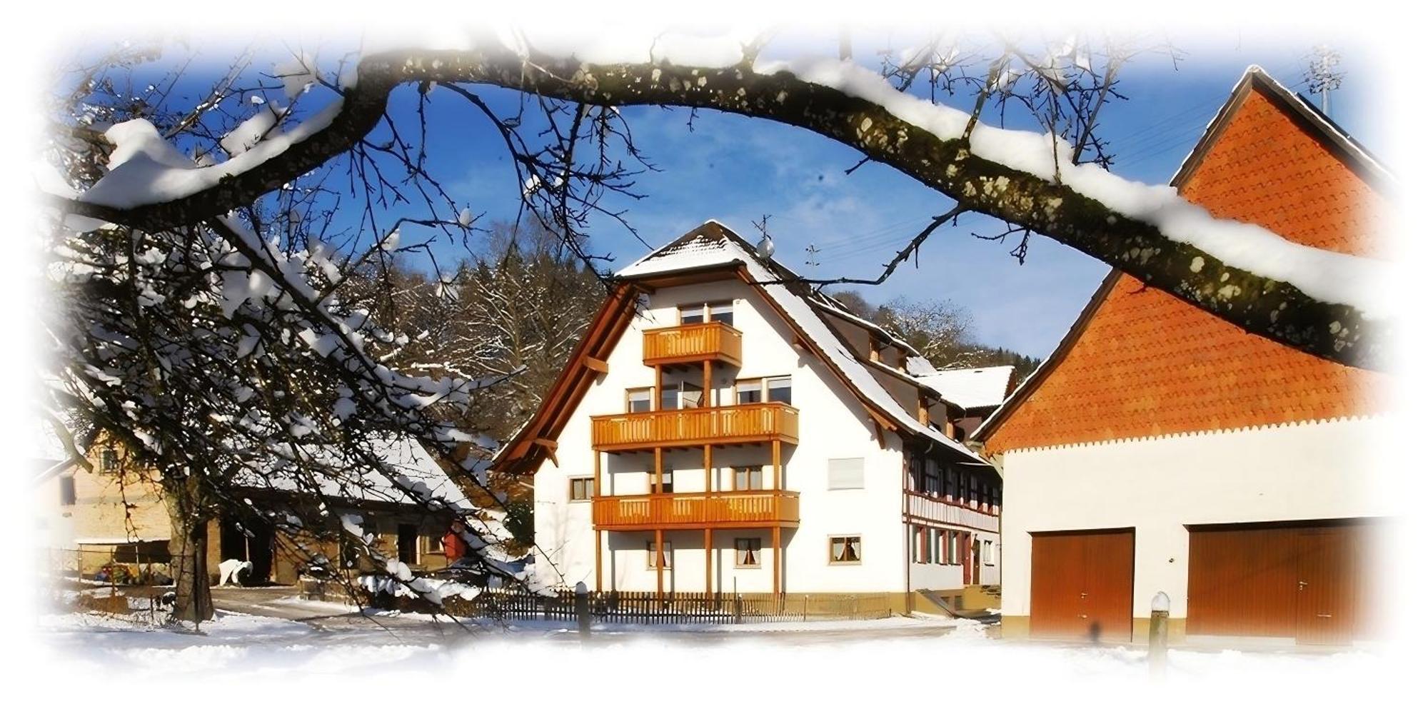 Mayer Burghoefe Owingen Bagian luar foto
